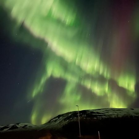 Stora-Asgeirsa Horse Farm Stay Vithigerthi Екстер'єр фото