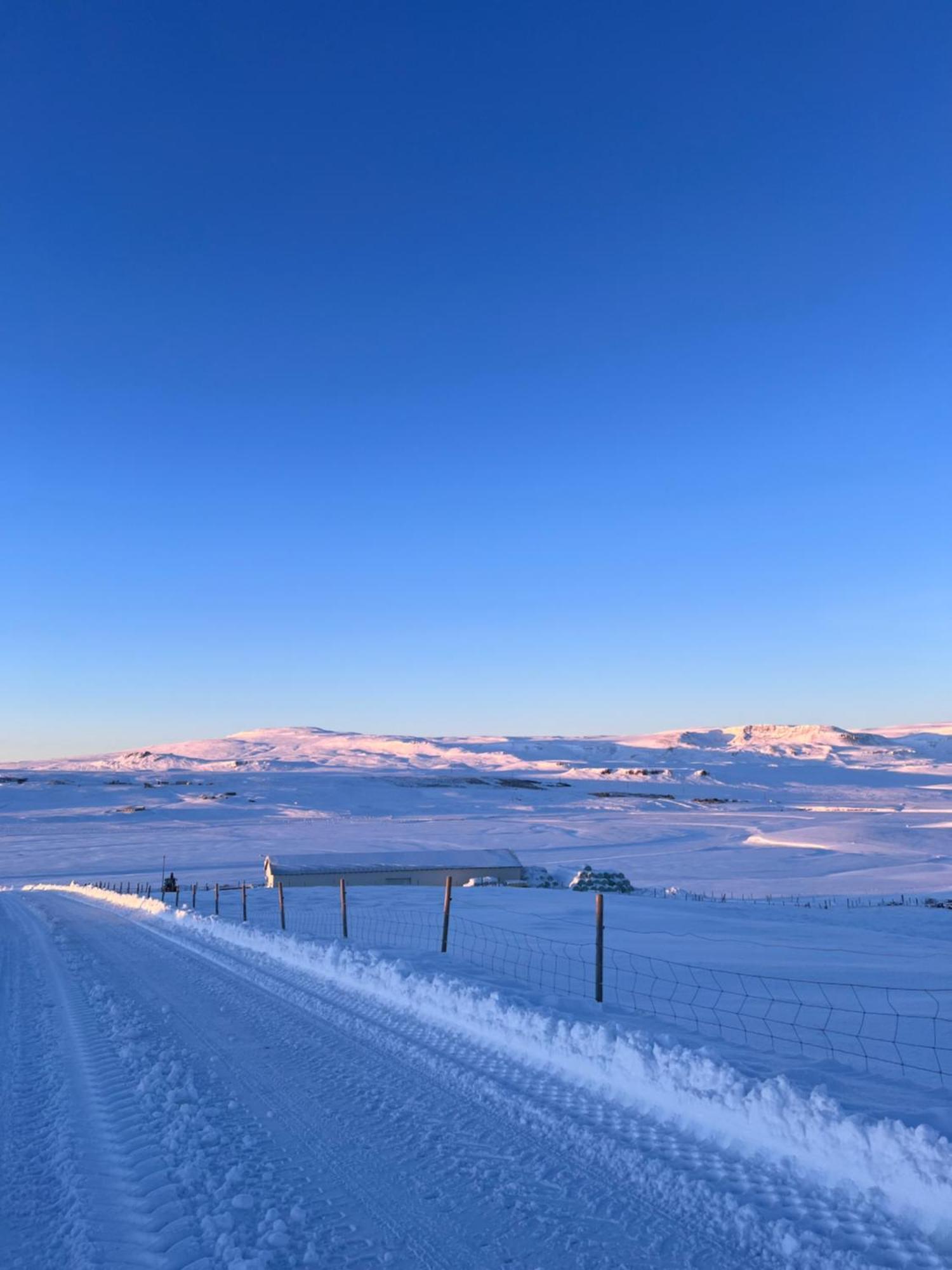 Stora-Asgeirsa Horse Farm Stay Vithigerthi Екстер'єр фото
