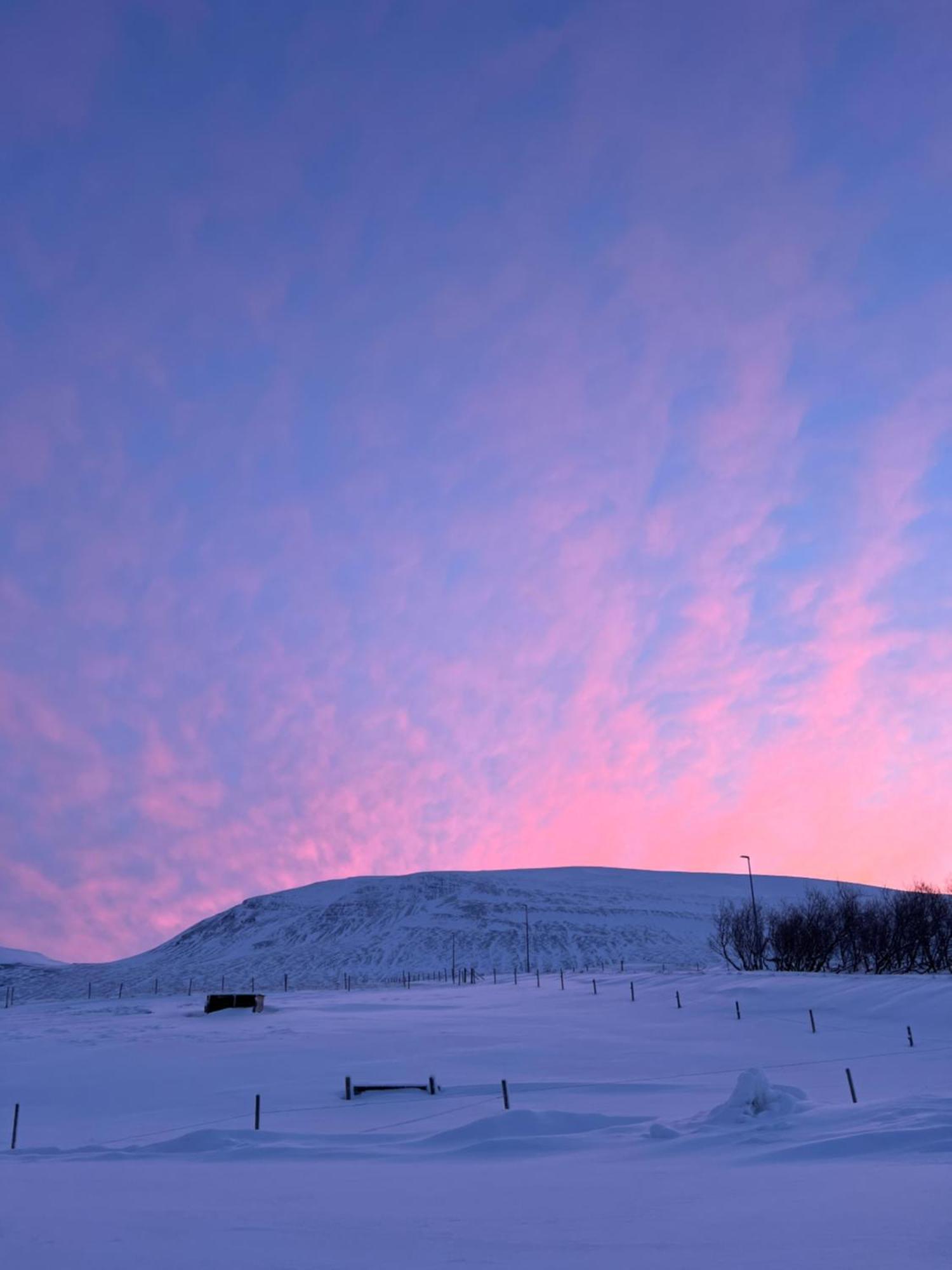 Stora-Asgeirsa Horse Farm Stay Vithigerthi Екстер'єр фото