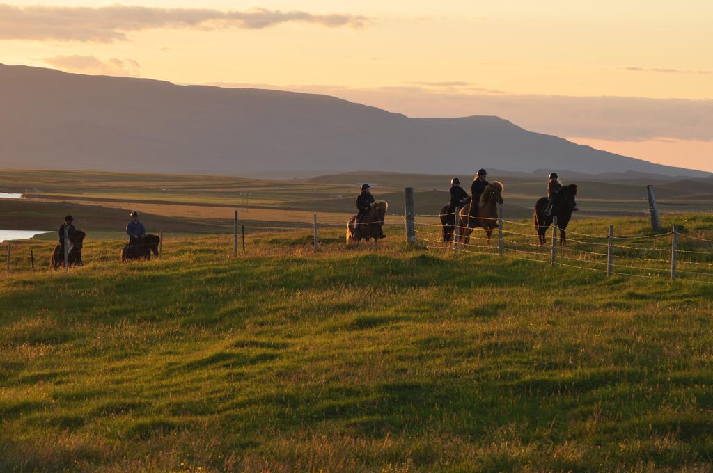 Stora-Asgeirsa Horse Farm Stay Vithigerthi Екстер'єр фото